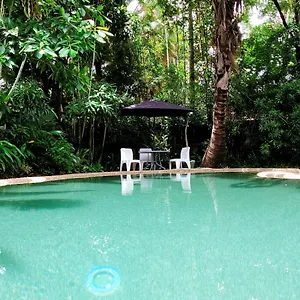 https://geckos-backpackers-cairns.cairnshotels4all.com